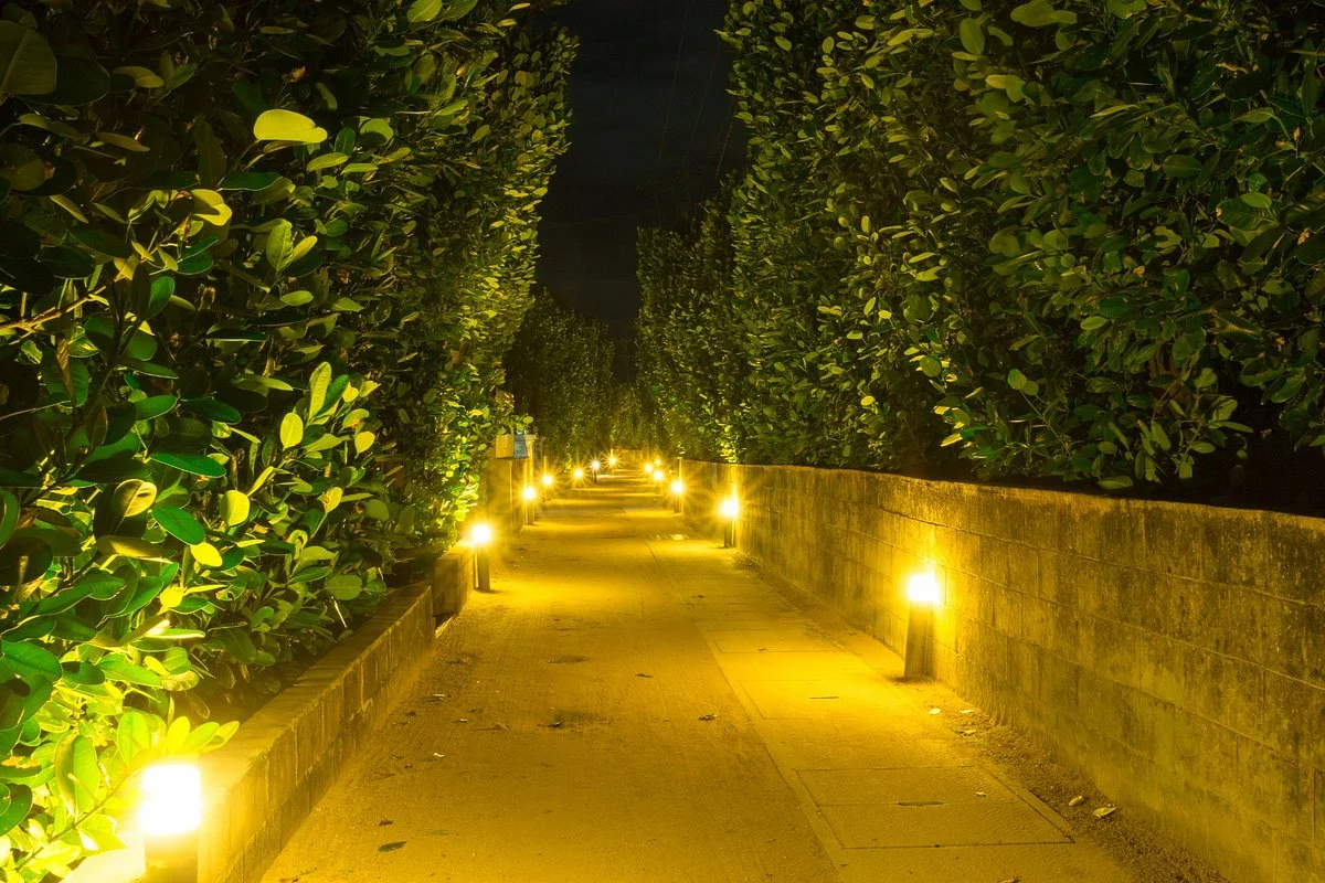 Foot Light Street