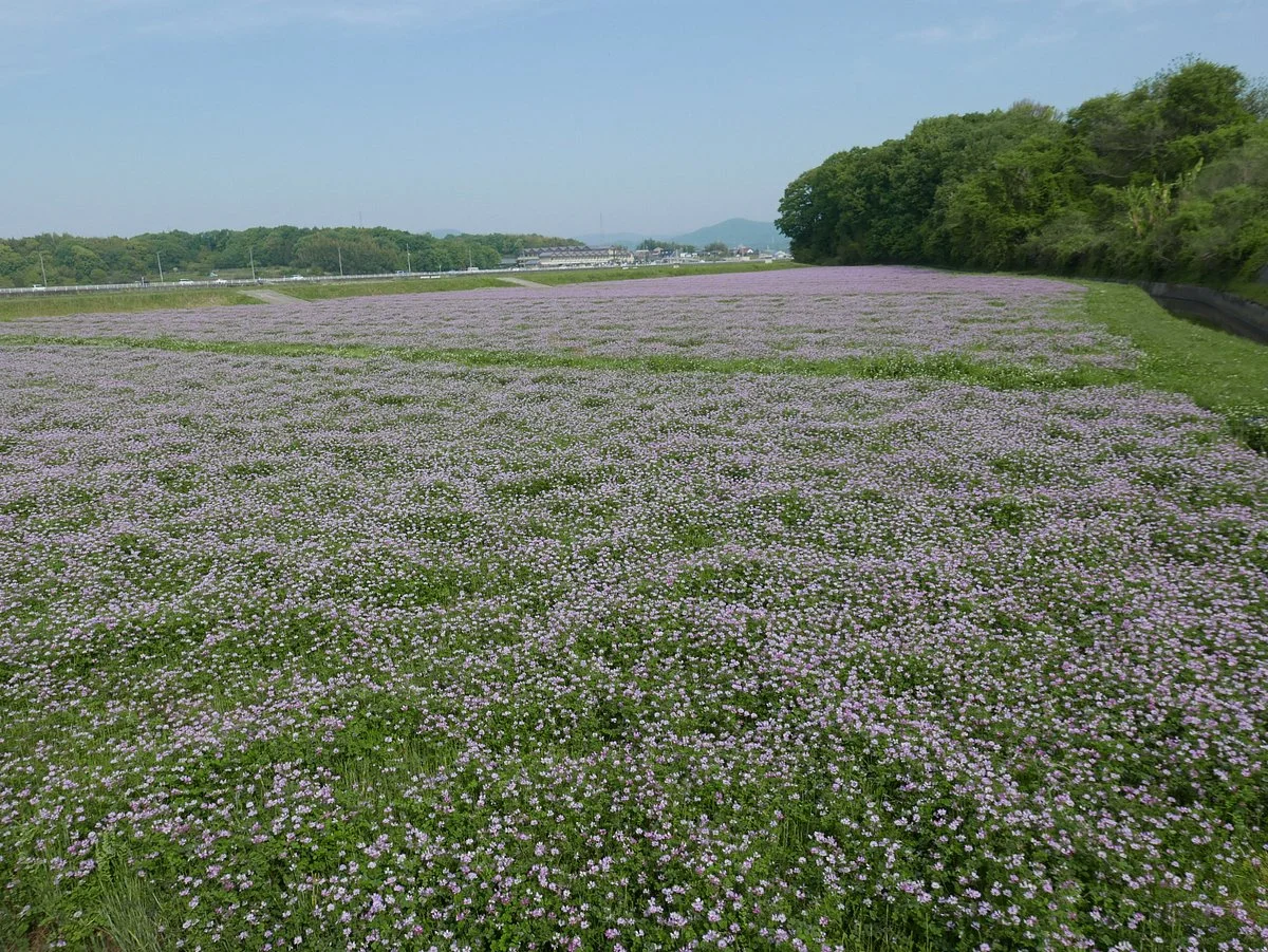 Soja Furusato Sizennomichi (walking trail)