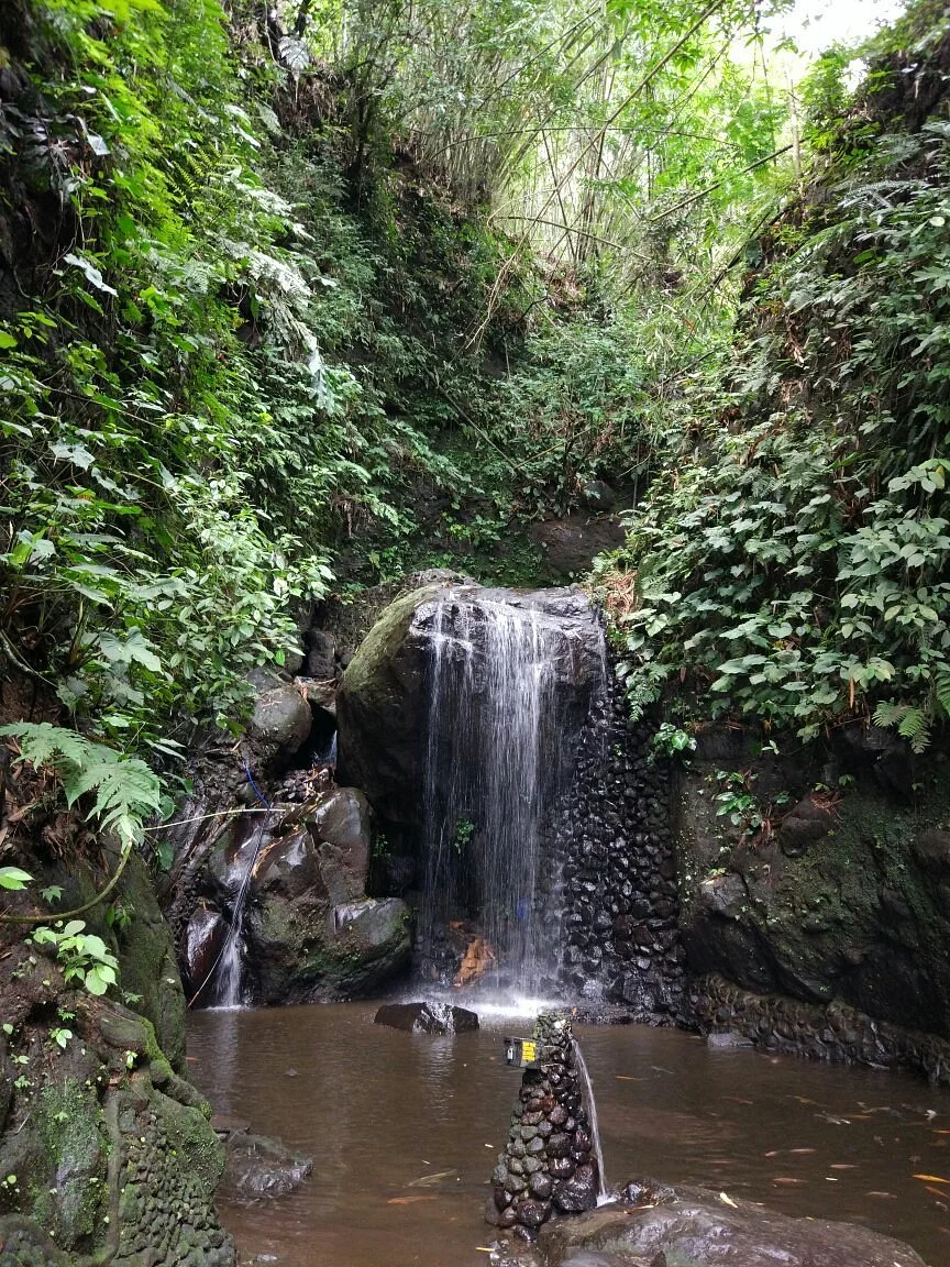 Sidomba Waterfall