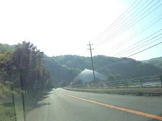 Sakura Dome