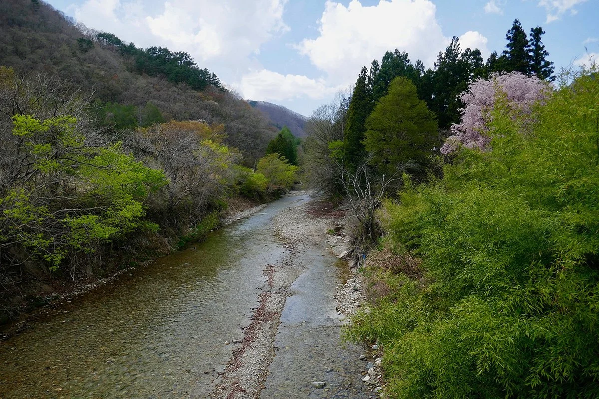 Kamimiyori Hydrophyte Garden
