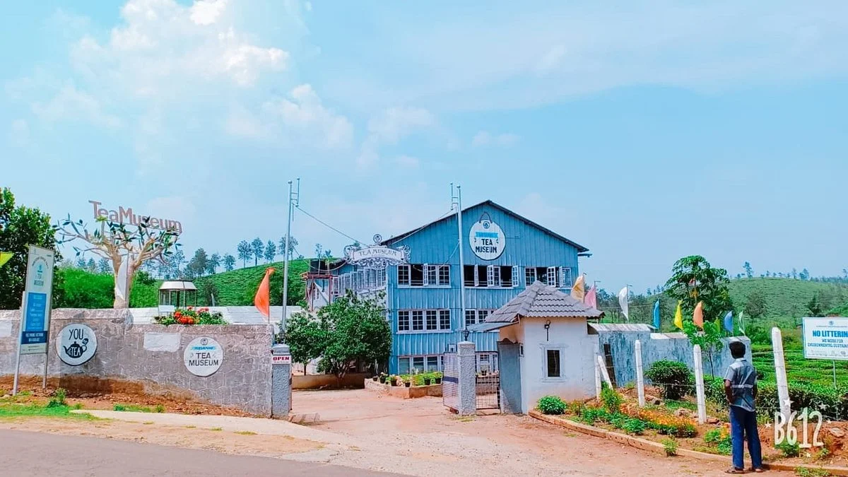 Wayanad Tea Museum