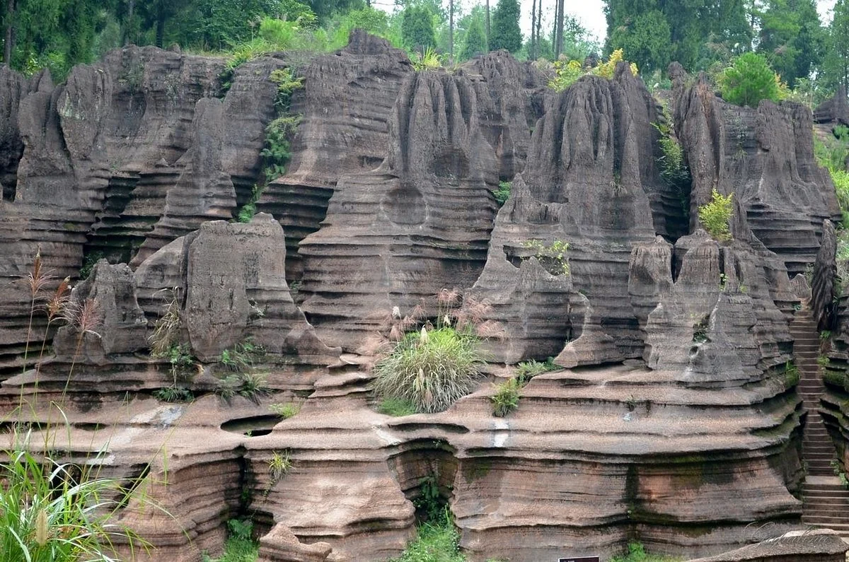 Red Stone Forest