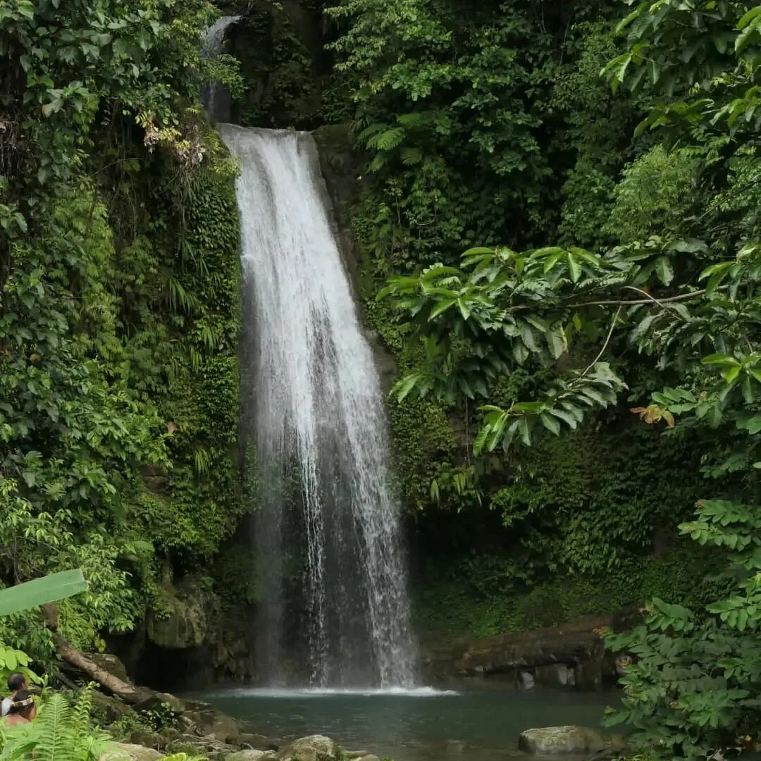 Siberut National Park