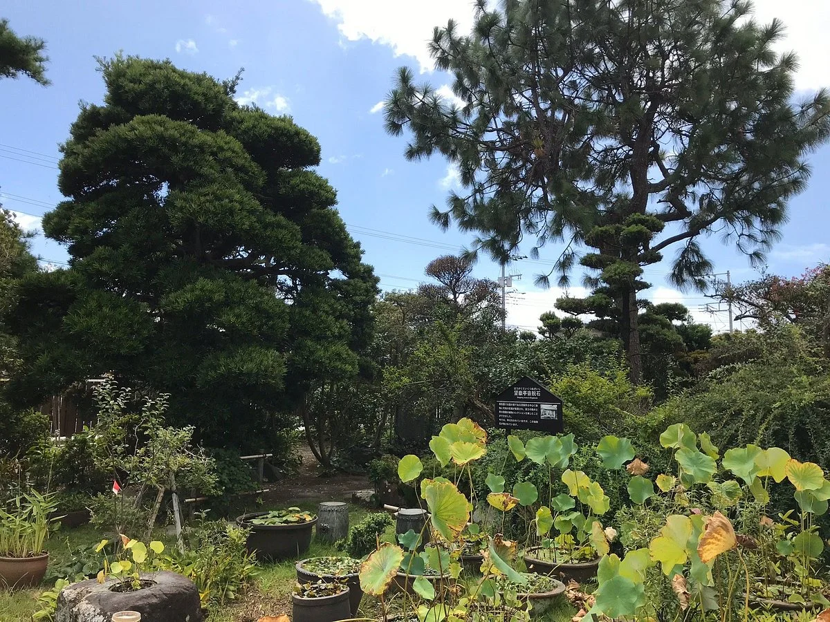 Taishoen