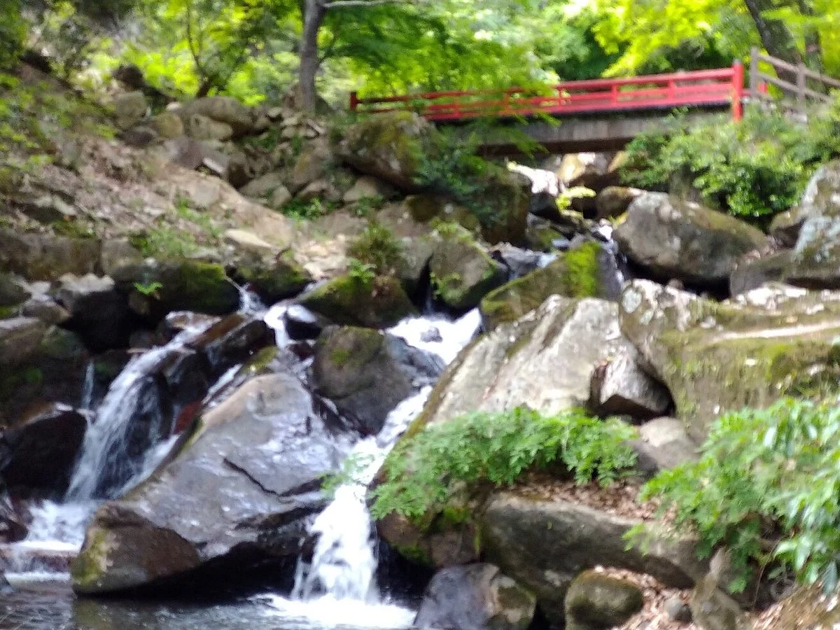 Saburo Fall