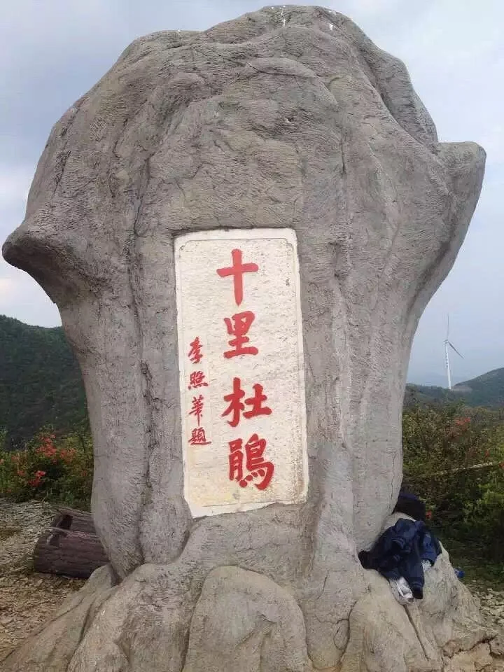 Daxiong Mountain National Forest Park