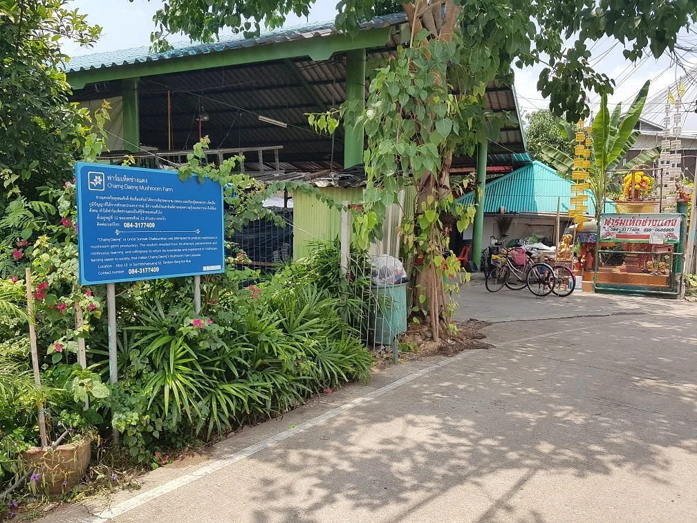 Daeng Mushroom Farm