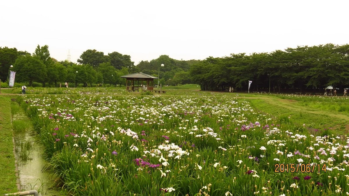 Beppunuma Park