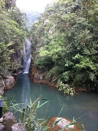 Mt. Tianzhu National Forest Park