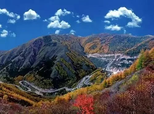 Mt. Liupan National Natural Reserve