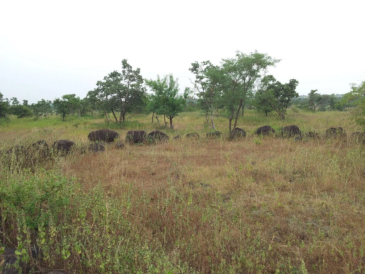 Junapani Megalith Cirlces