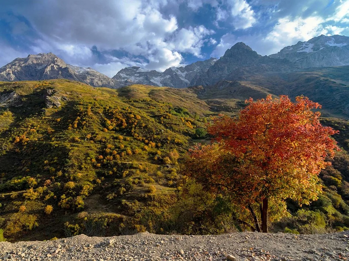 Yagnob Valley