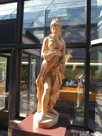 Museum of Medicine and Dentistry