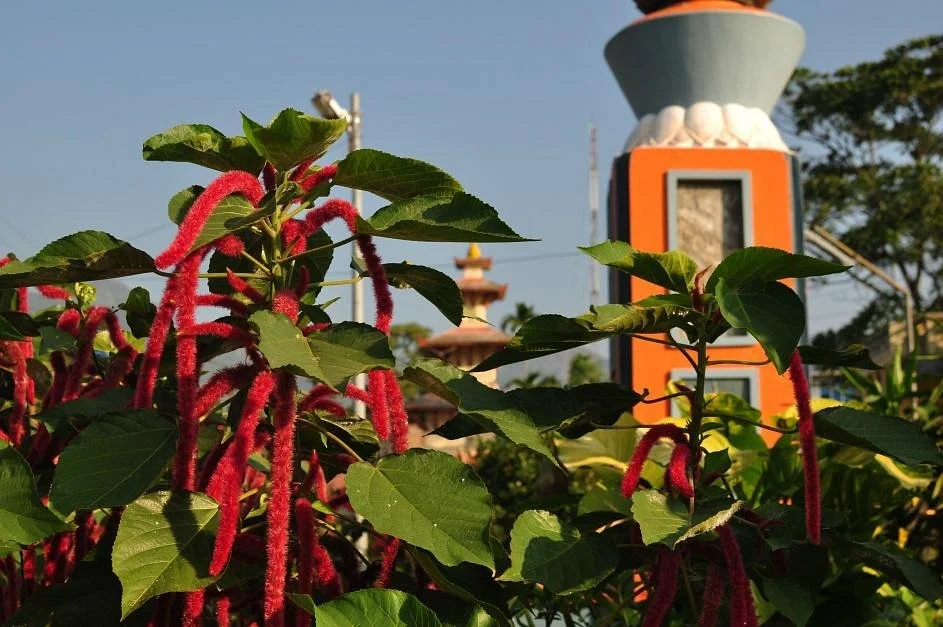 Vijayapur Hill