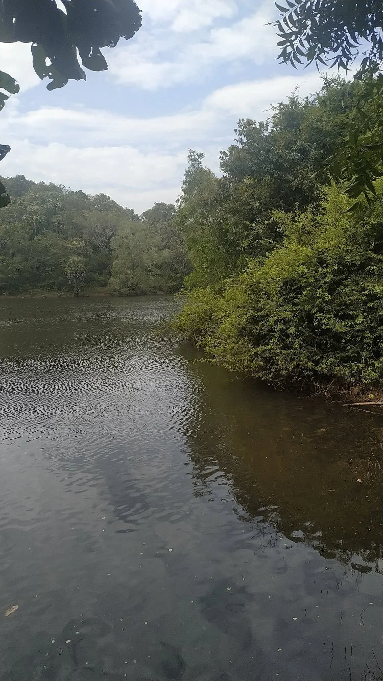 Asurankundu Dam