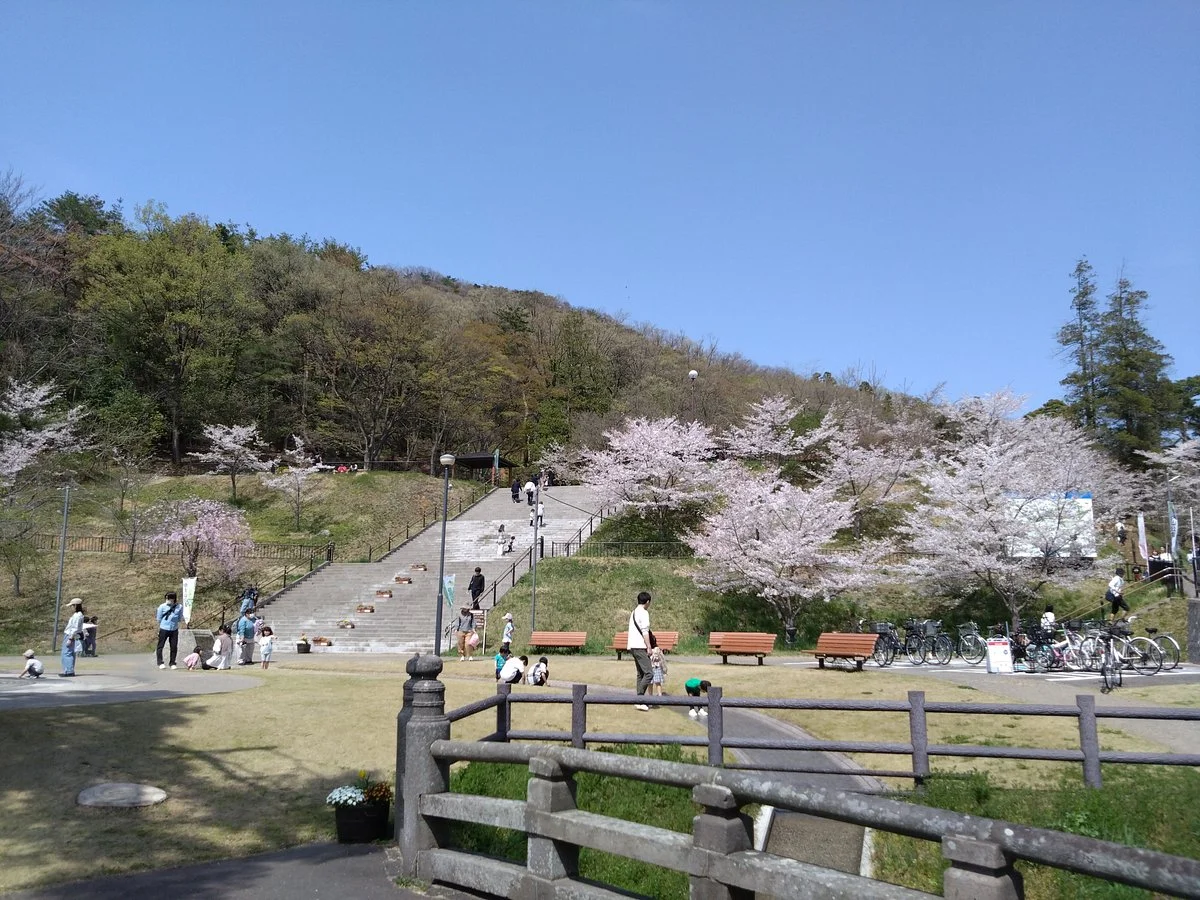 Mt. Shinobu
