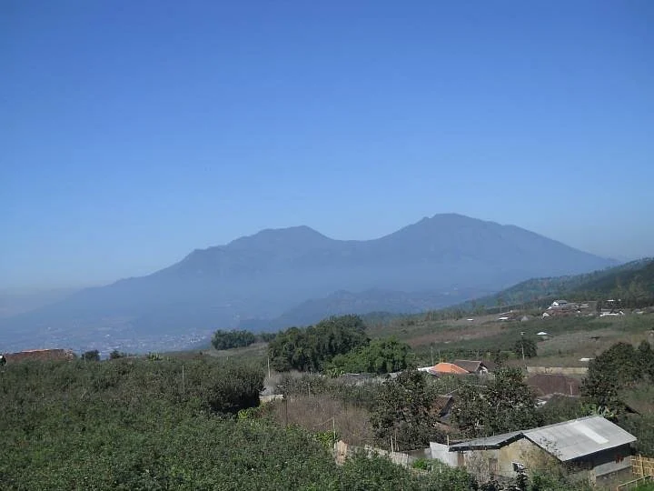 Wisata Petik Apel Makmur Abadi