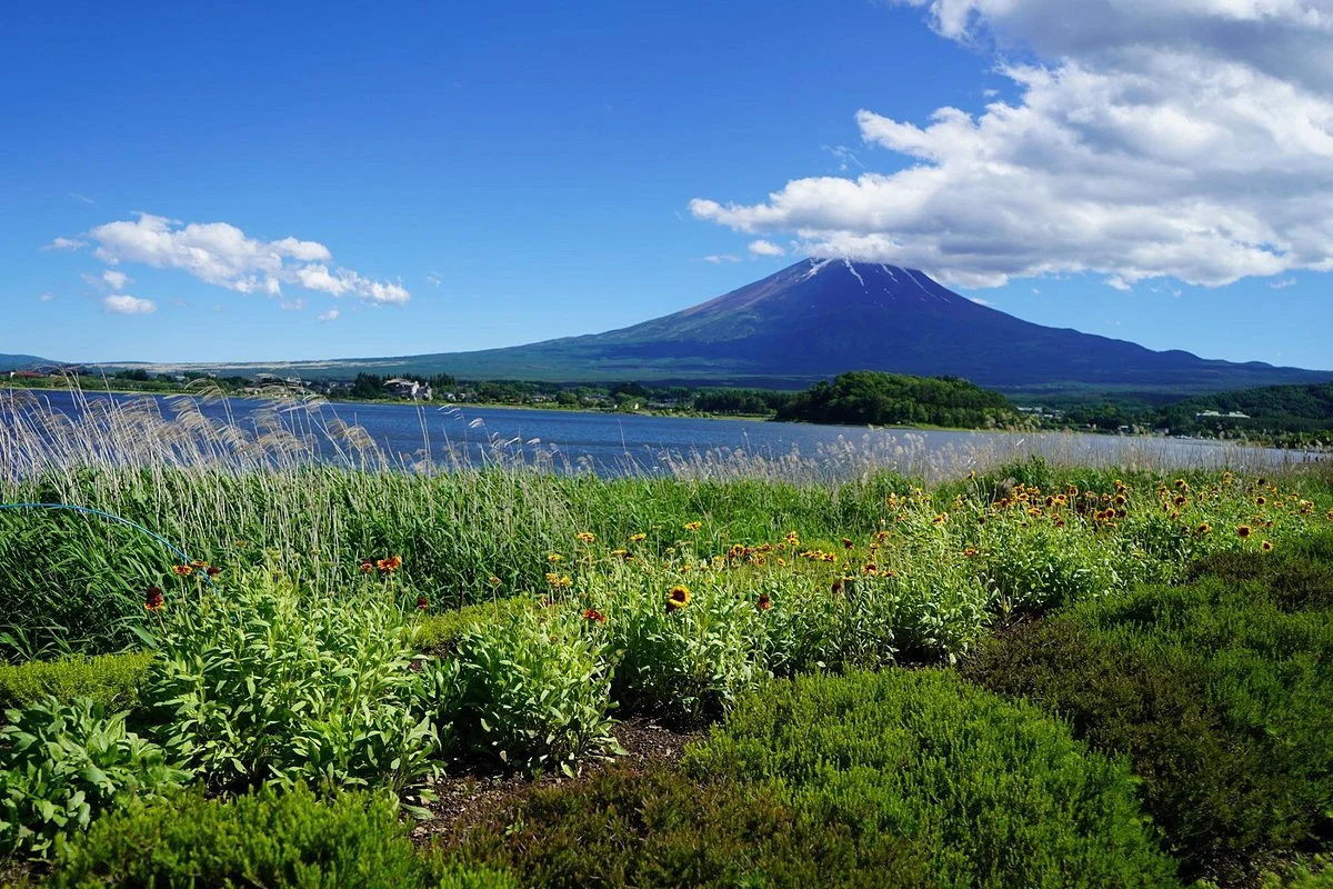 Oishi Park