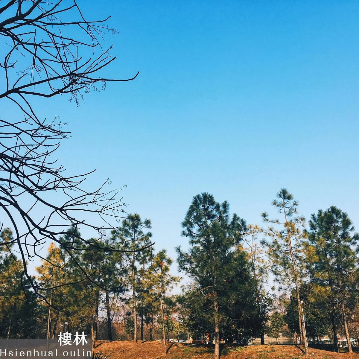 Caoyu Park