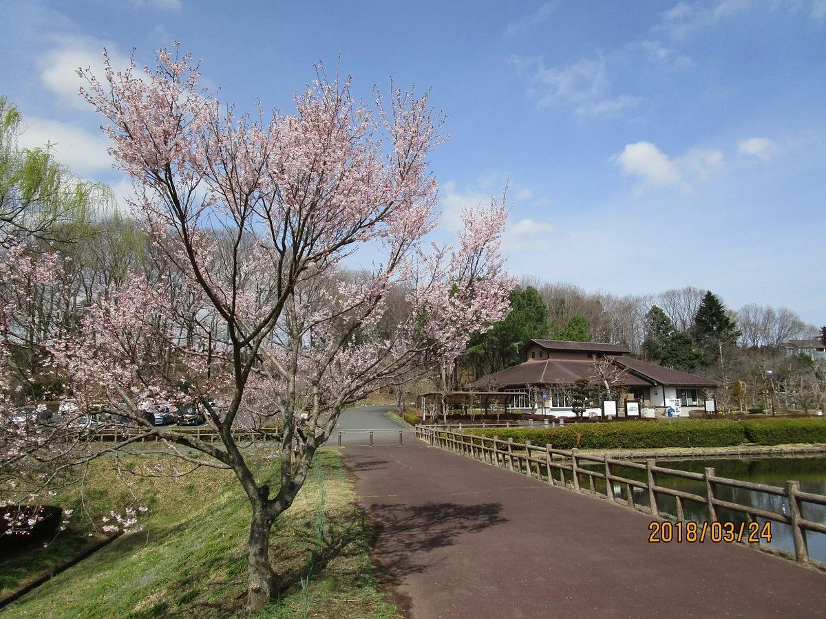 Hatoyamamachi Noson Park