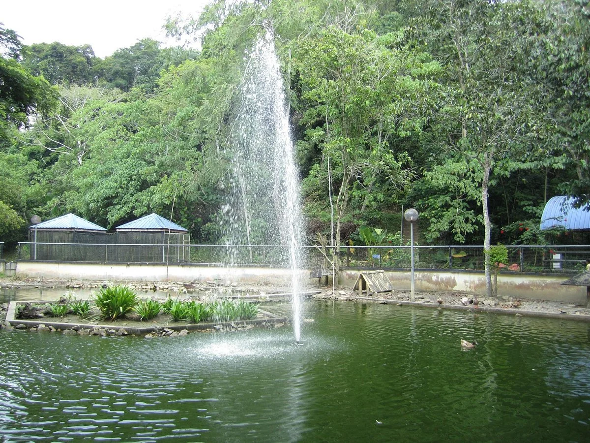 Labuan Bird Park