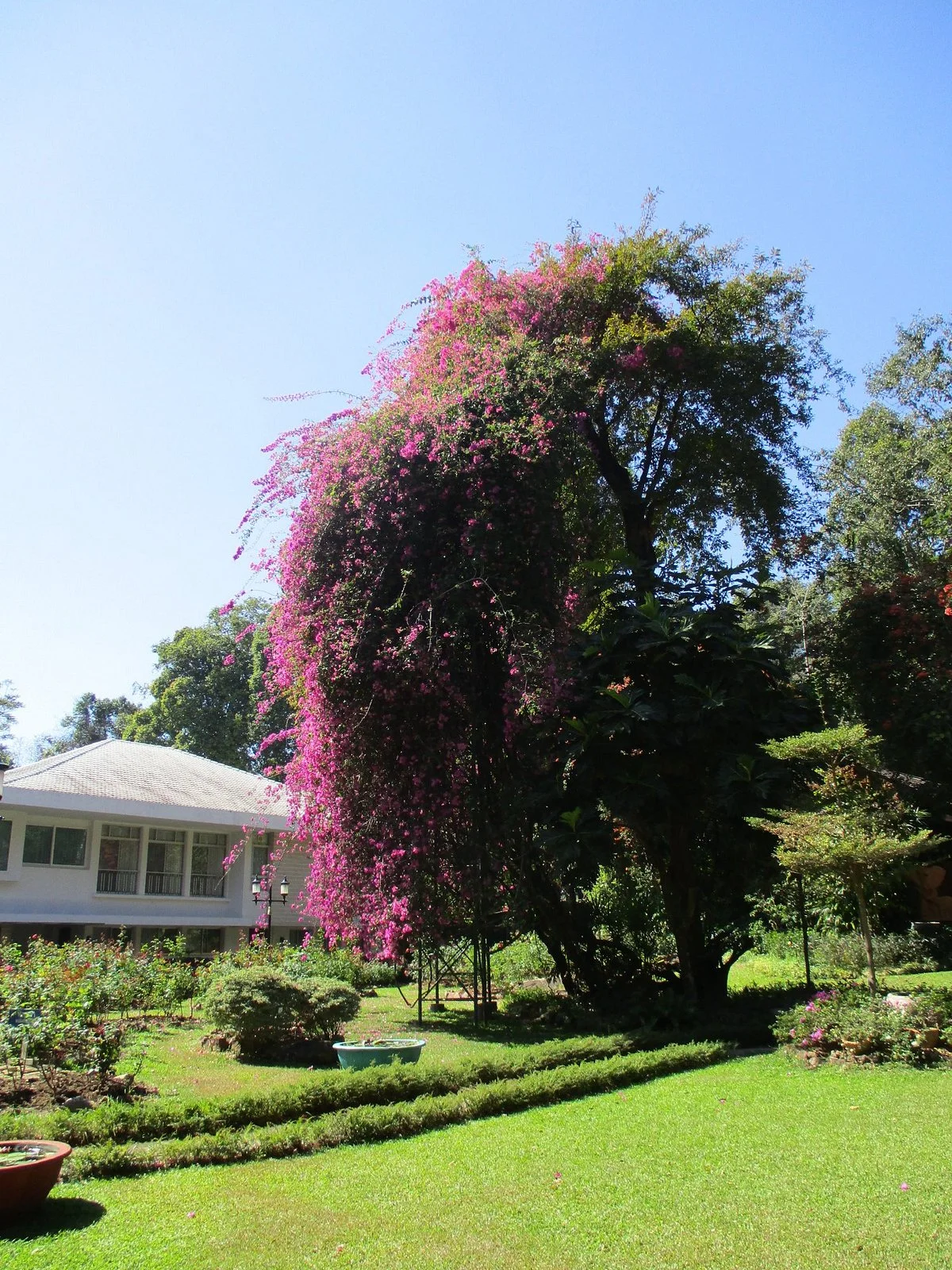 Phu Phan Ratchanivet Palace