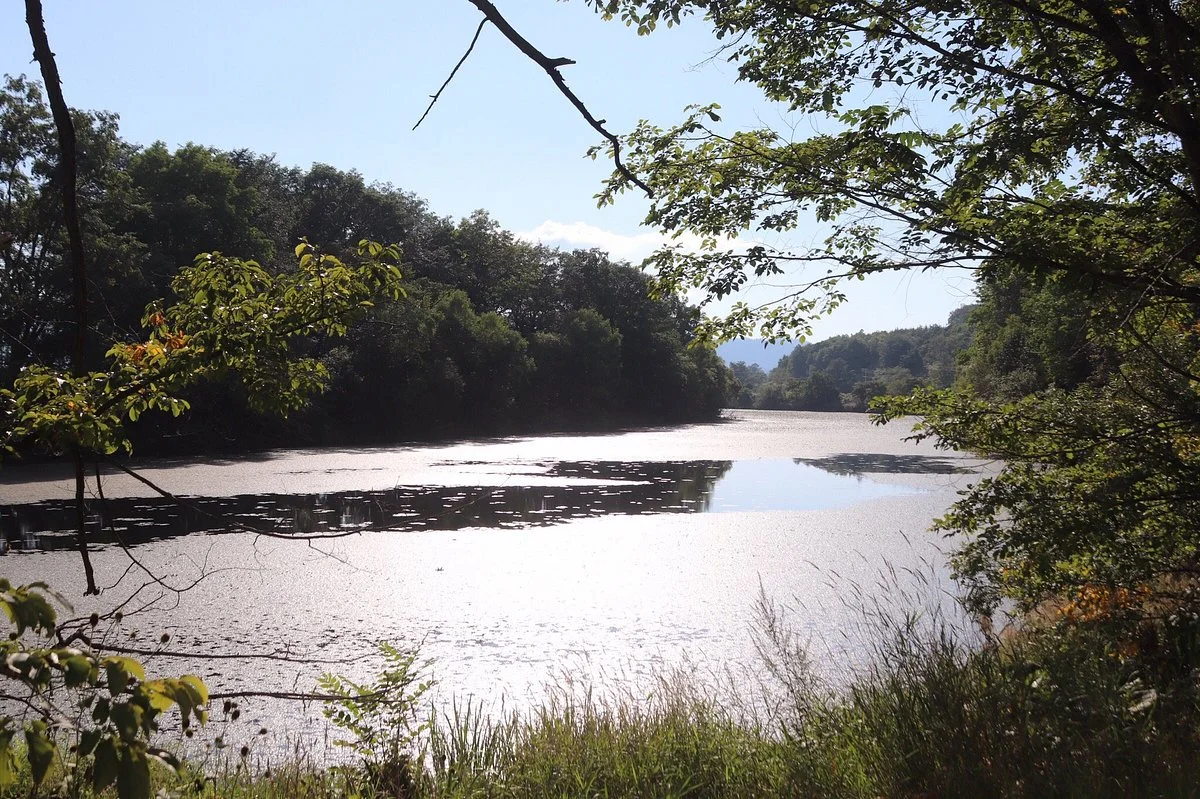 Chiebun Pond Park