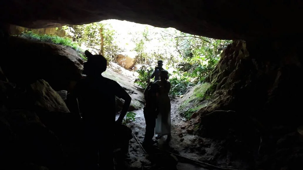 Swiftlet Cave Munnar