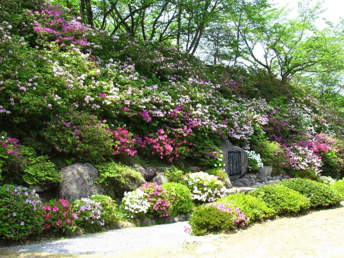 Hachimenzan Peace Park