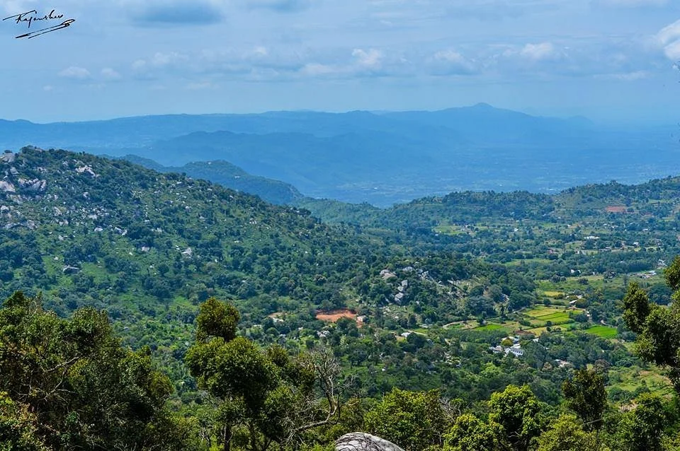 Yelagiri Hills