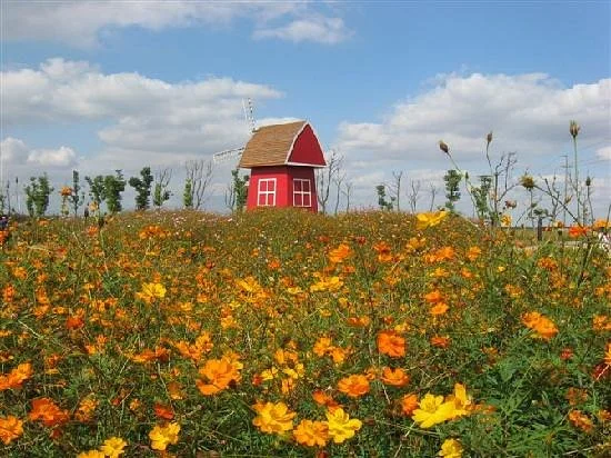 Zihai Luyuan Romantic Village