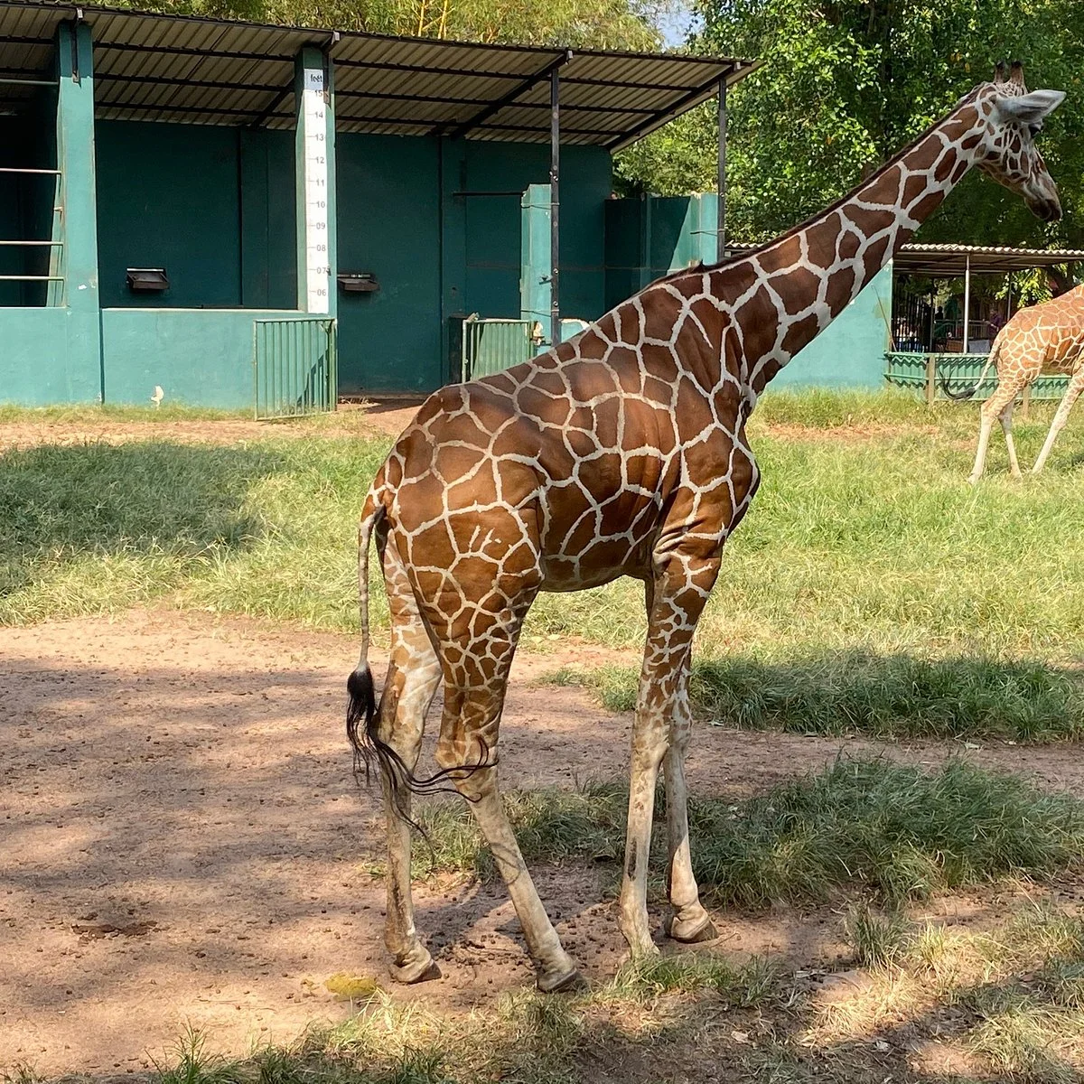 National Zoological Gardens of Sri Lanka