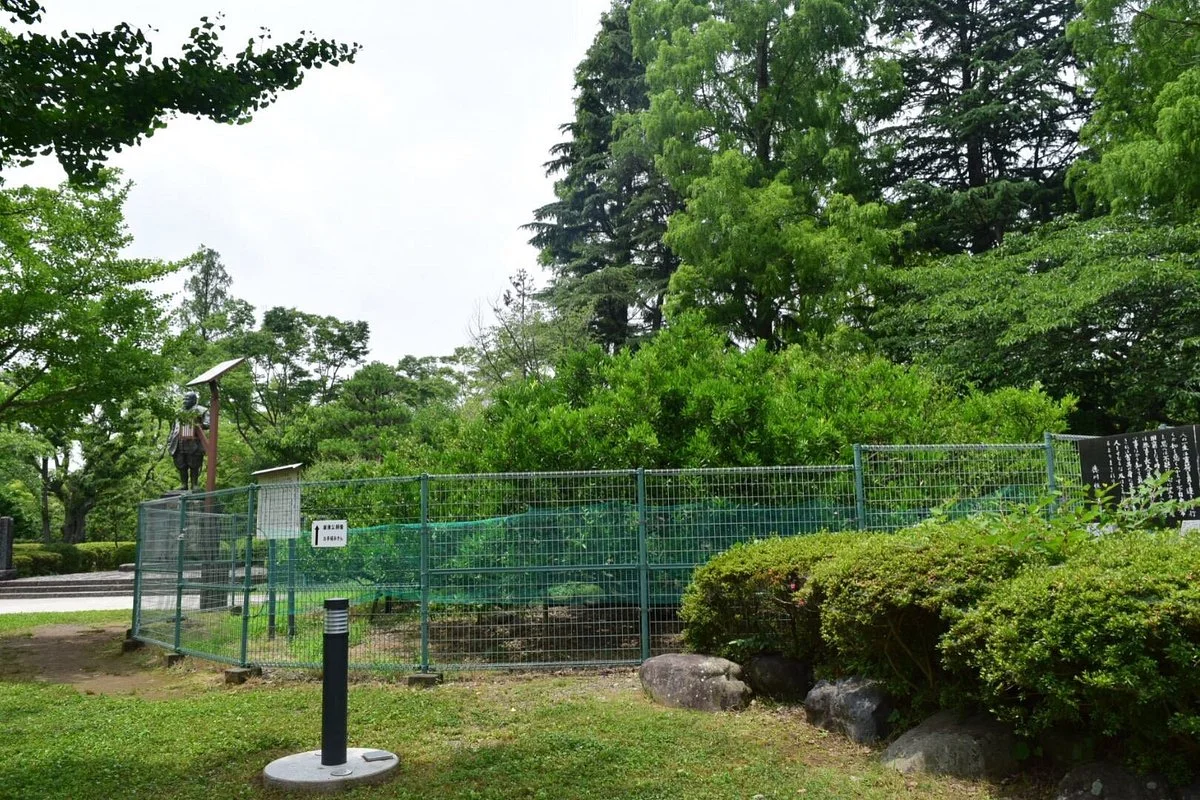 Orange Trees Planted by Ieyasu Tokugawa
