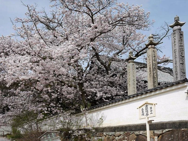Kongocho-ji Temple Shinko-in