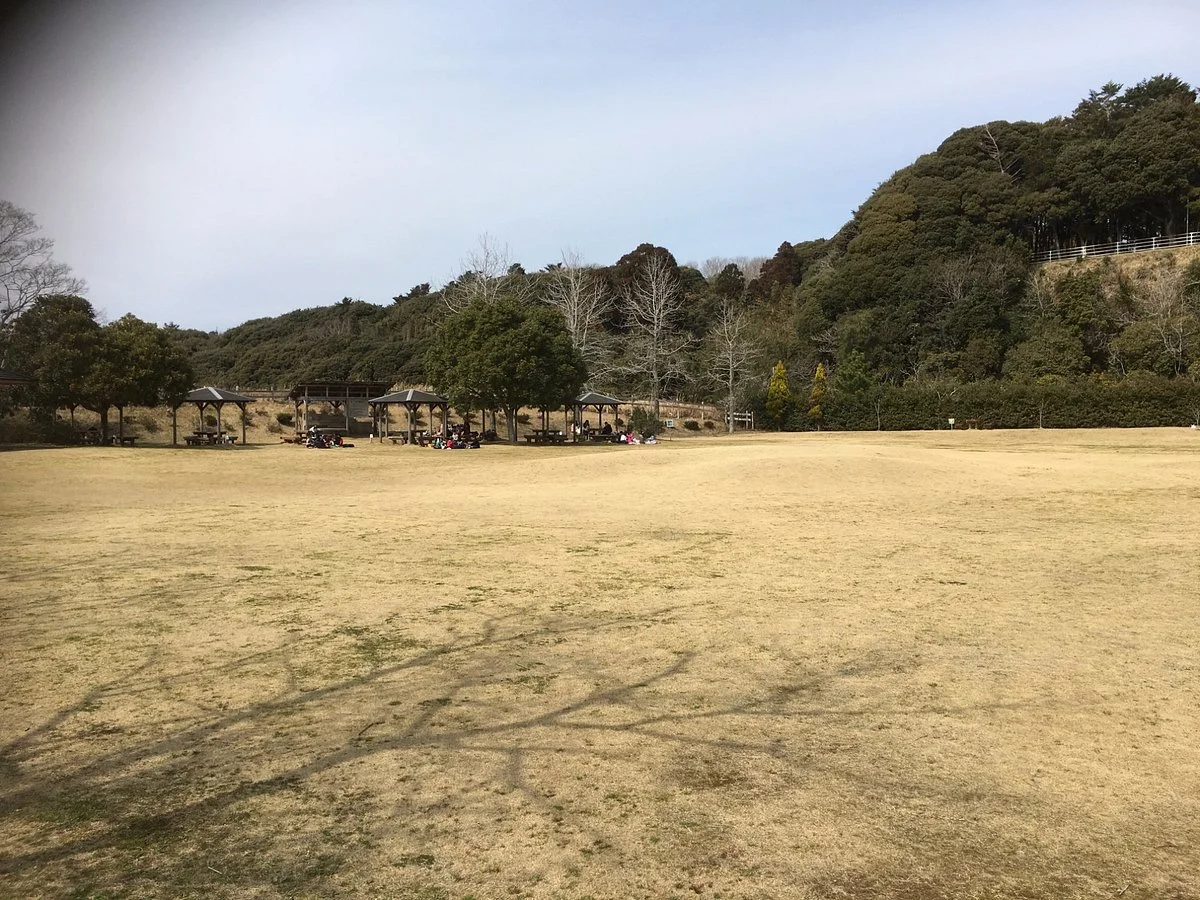 Tonosho Forest Park
