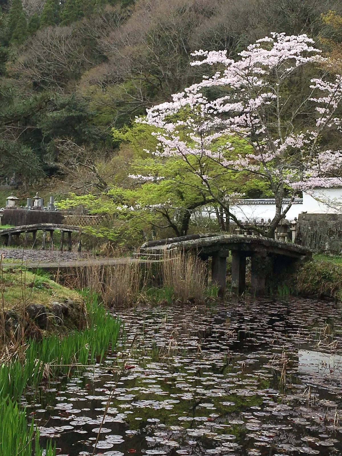 Otamaya Park