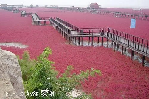 Honghai Beach Scenic Resort