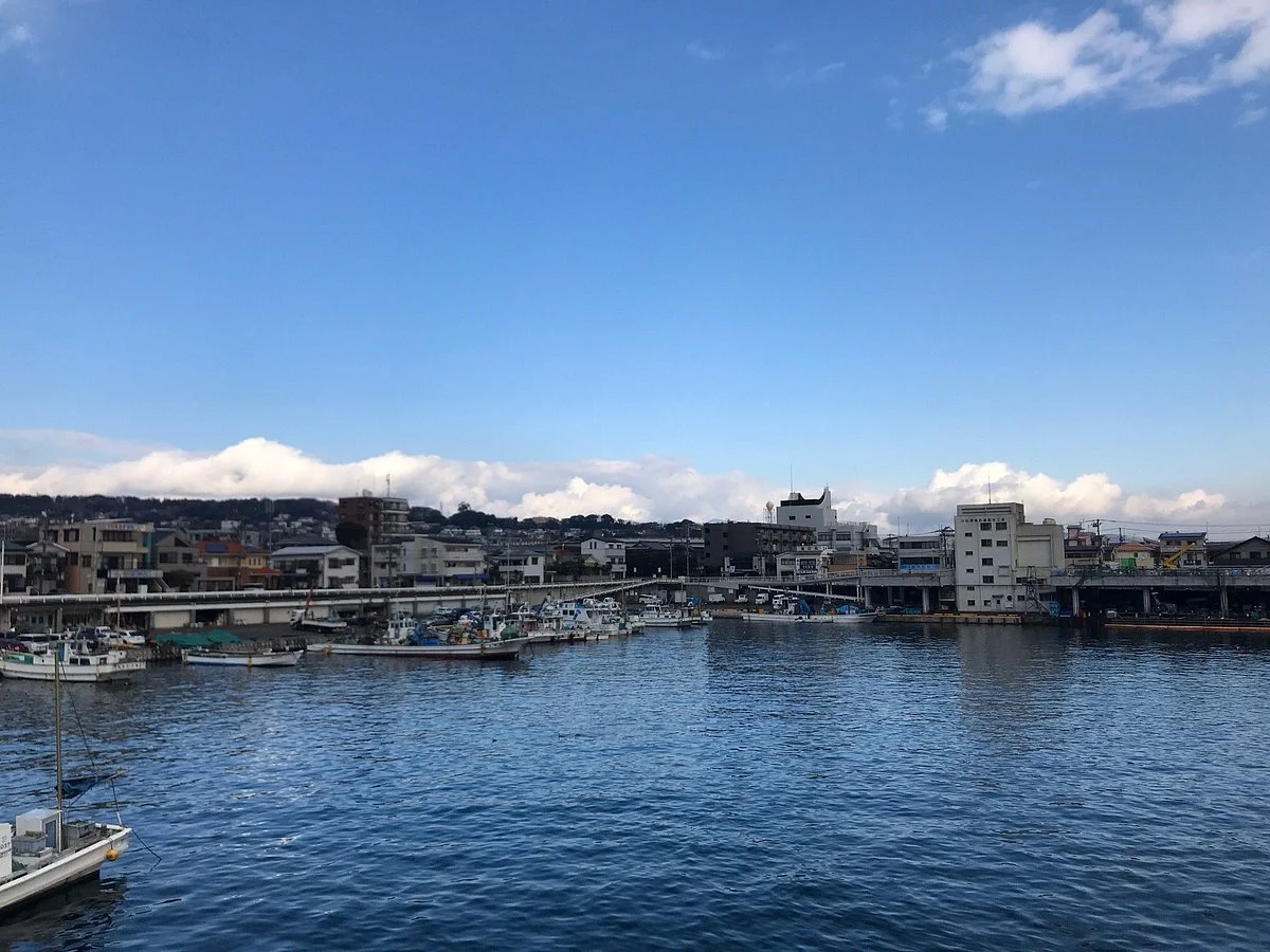 Morning Market of Odawara Harbor
