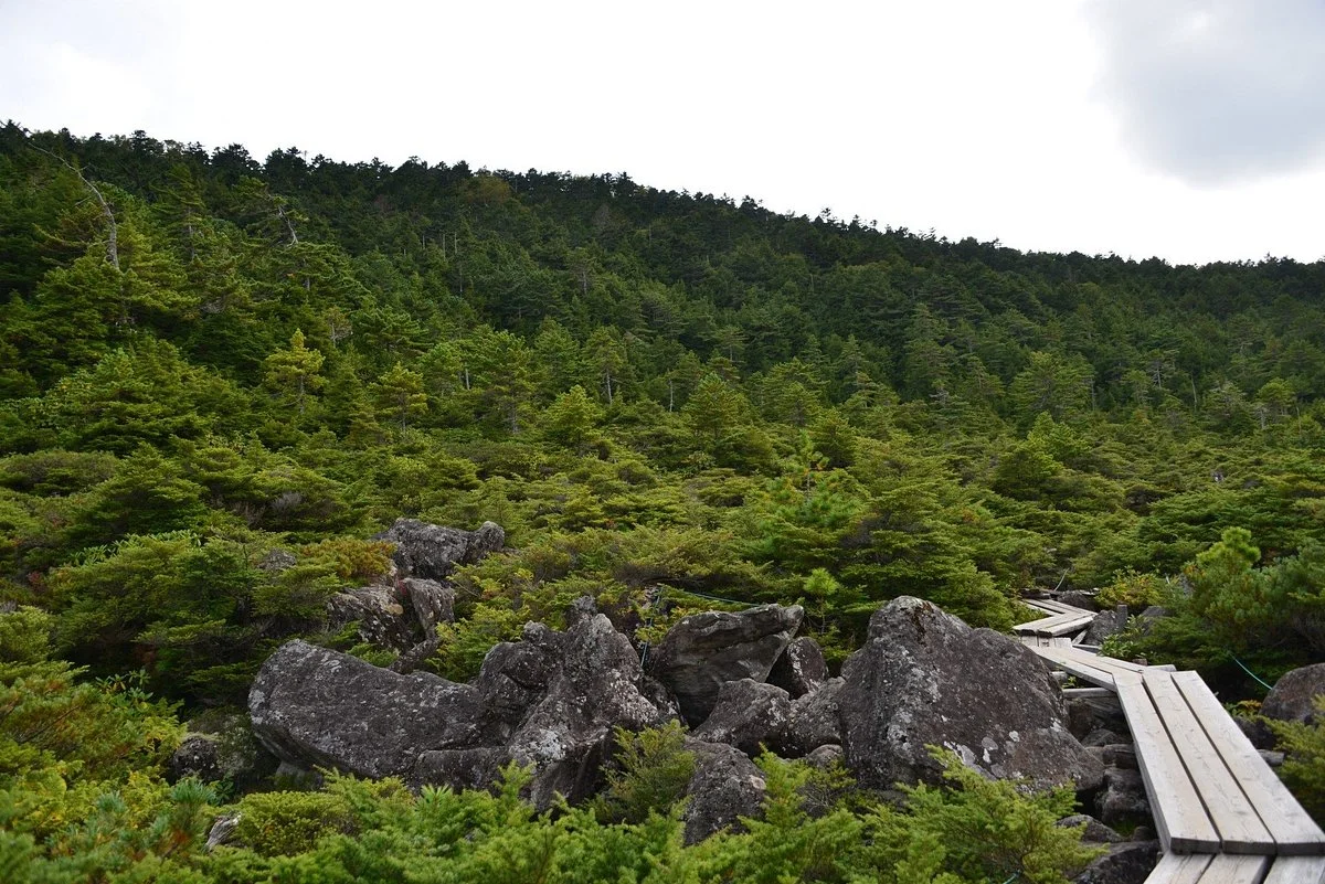 Shirakoma no Okuniwa
