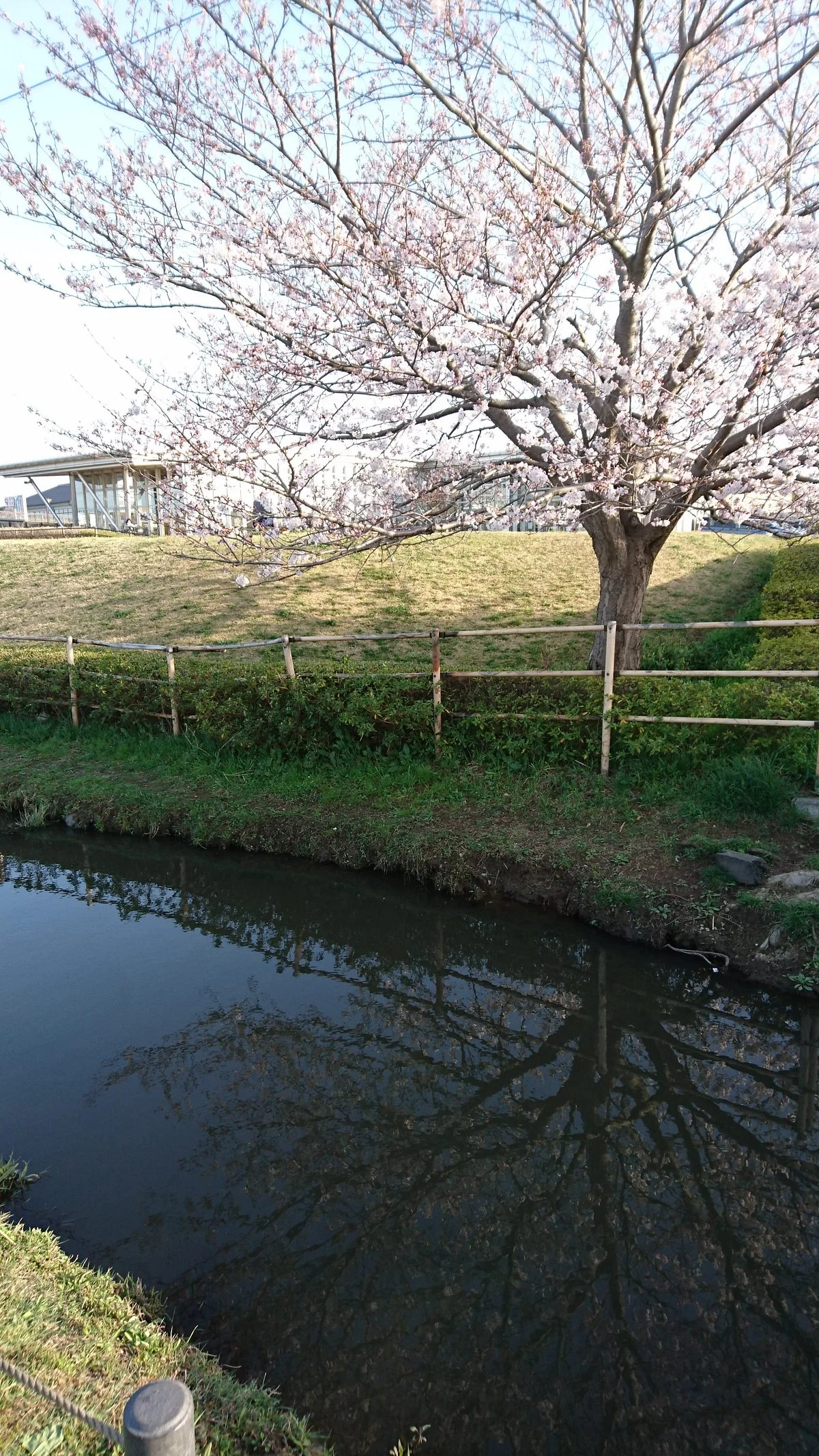 Michi-no-Eki Shonan