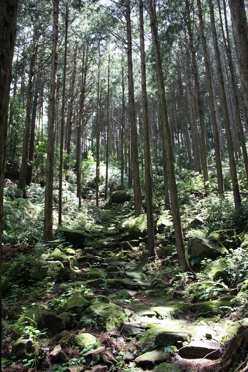 Miki Pass, Hago Pass