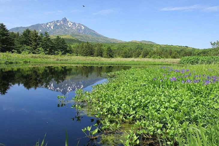 Minamihama Wetland