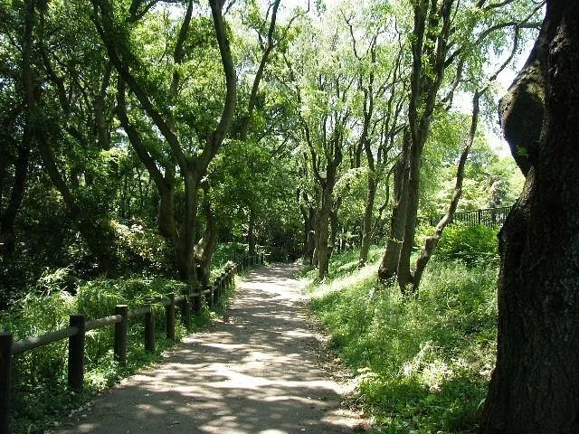 Kanagawa Prefectural Hodogaya Park