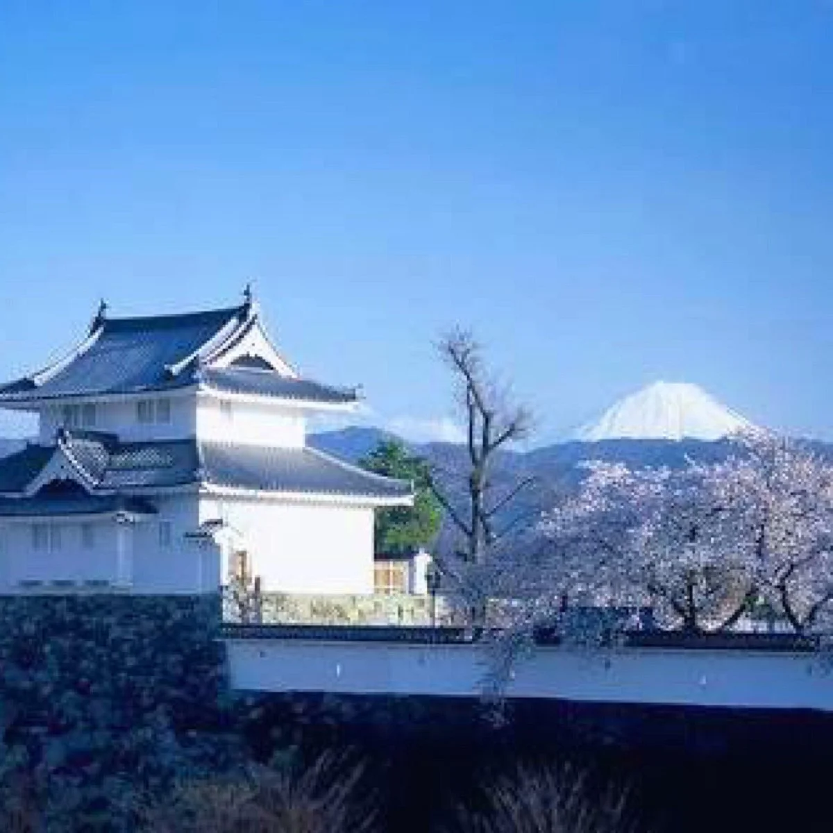 Kofu City History Park