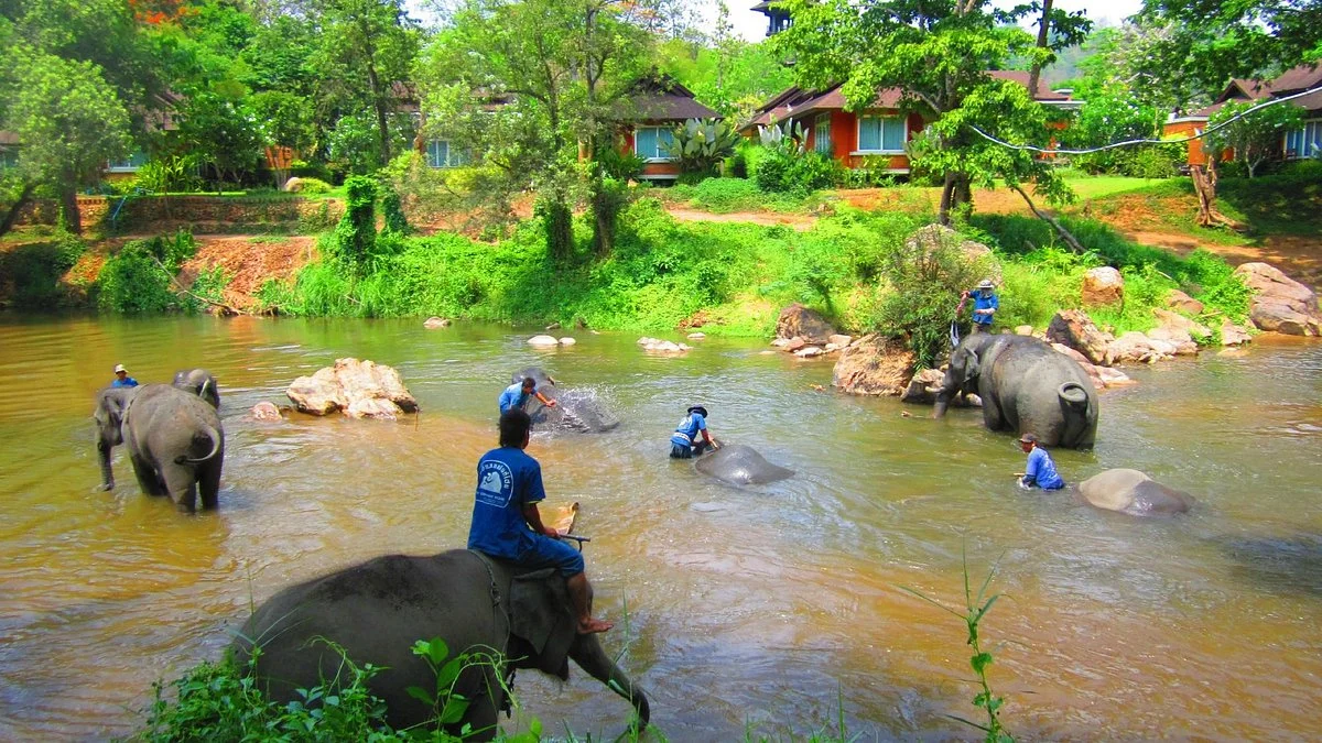 Thai Elephant Home