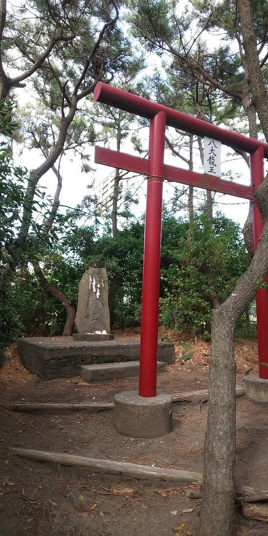 Hachidai Ryuoshin
