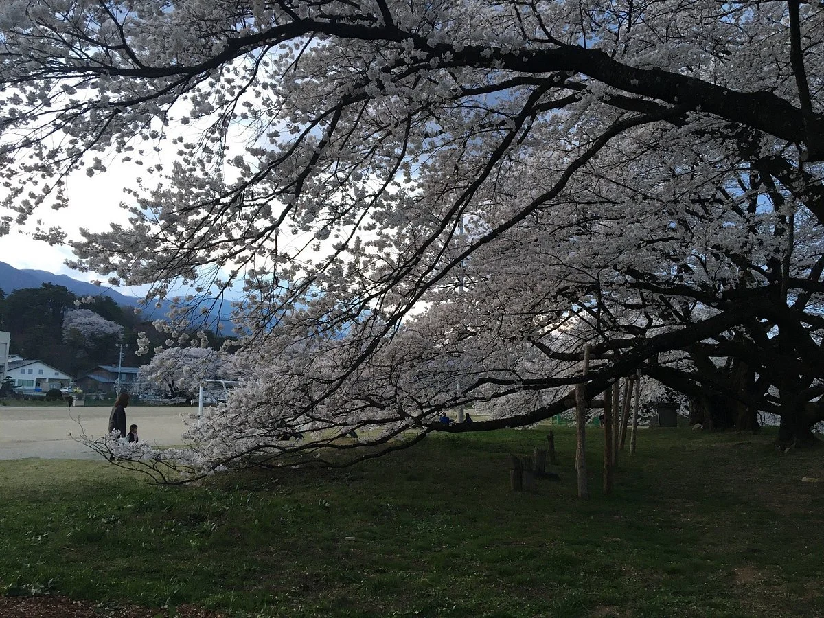 Takamori Minami Elementary School