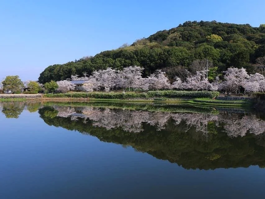 Mt. Miminashi
