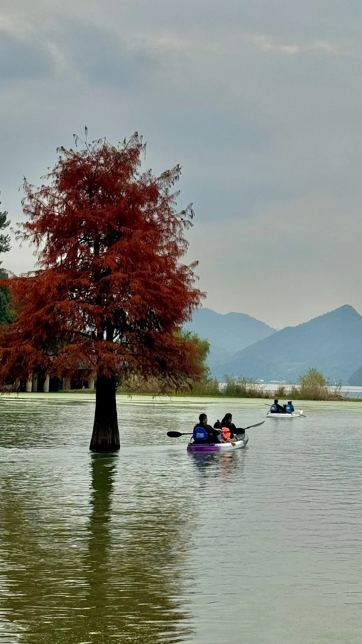 Qingshan Lake